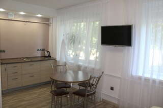 Гостевой дом Золотая рыбка Сызрань Номер-студия Делюкс с кроватью размера «king-size»-2